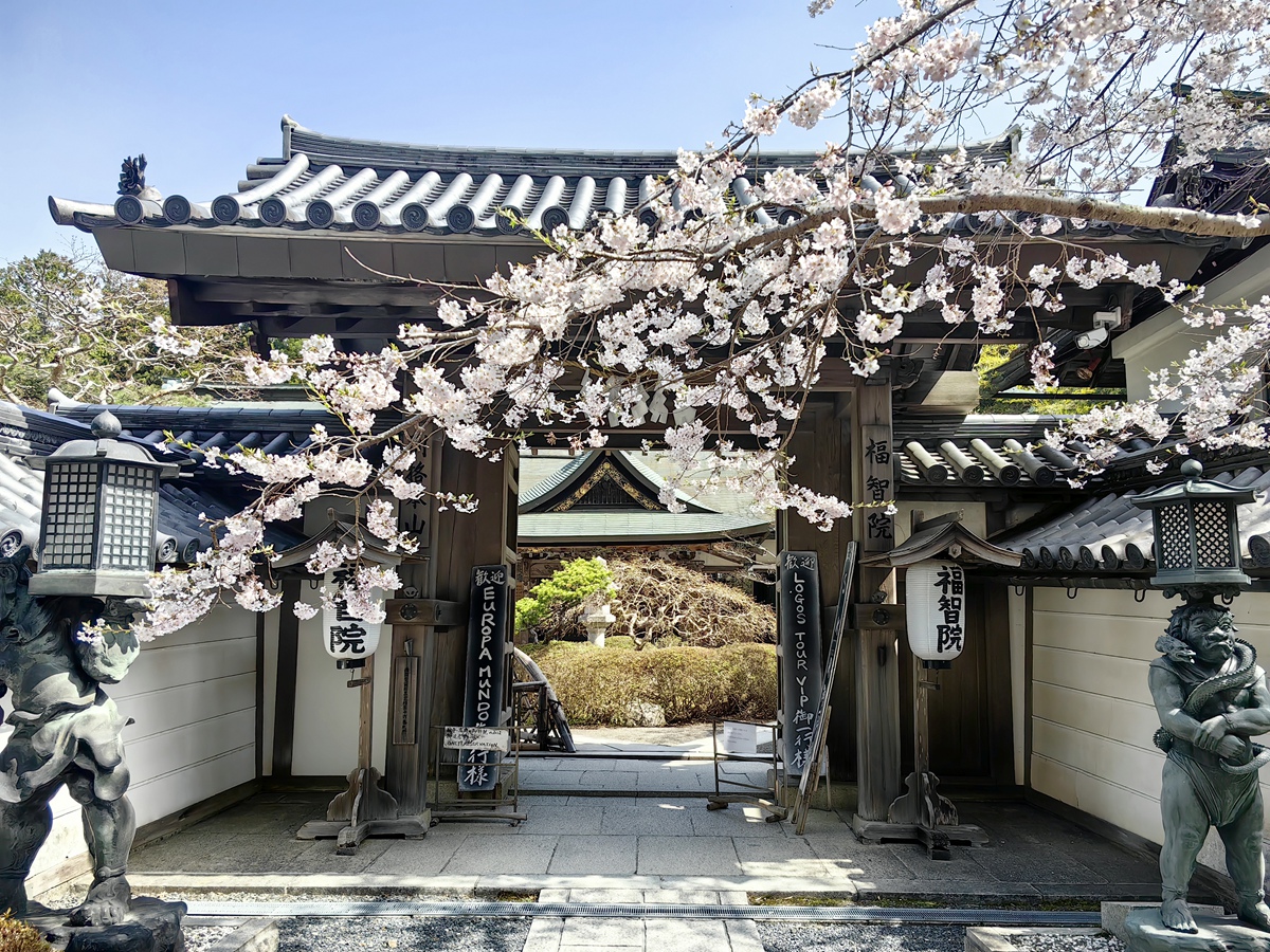 高野山 酒店宿坊